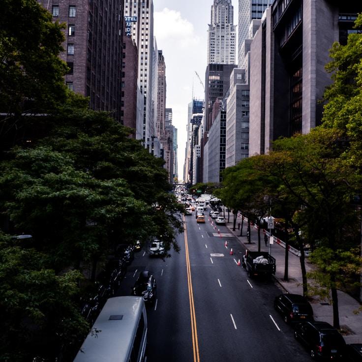 Sofia Ferreira - Expat family life guide in Portugal